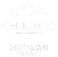 Endor University